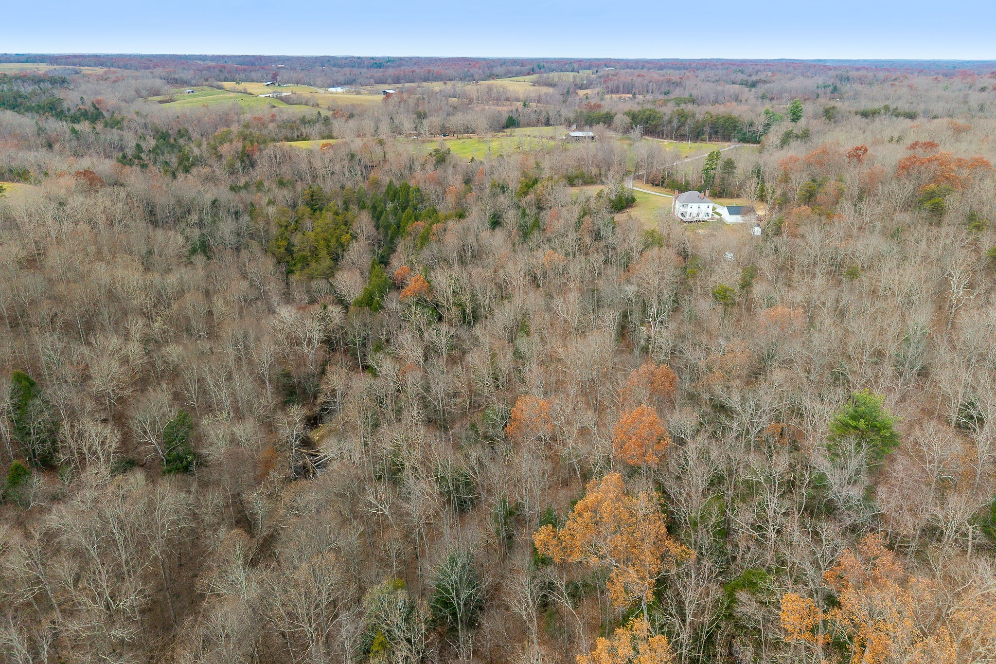 437 Wilson Road Crossville, TN 38571 - Photo 8 of 39 Gallery Image 8