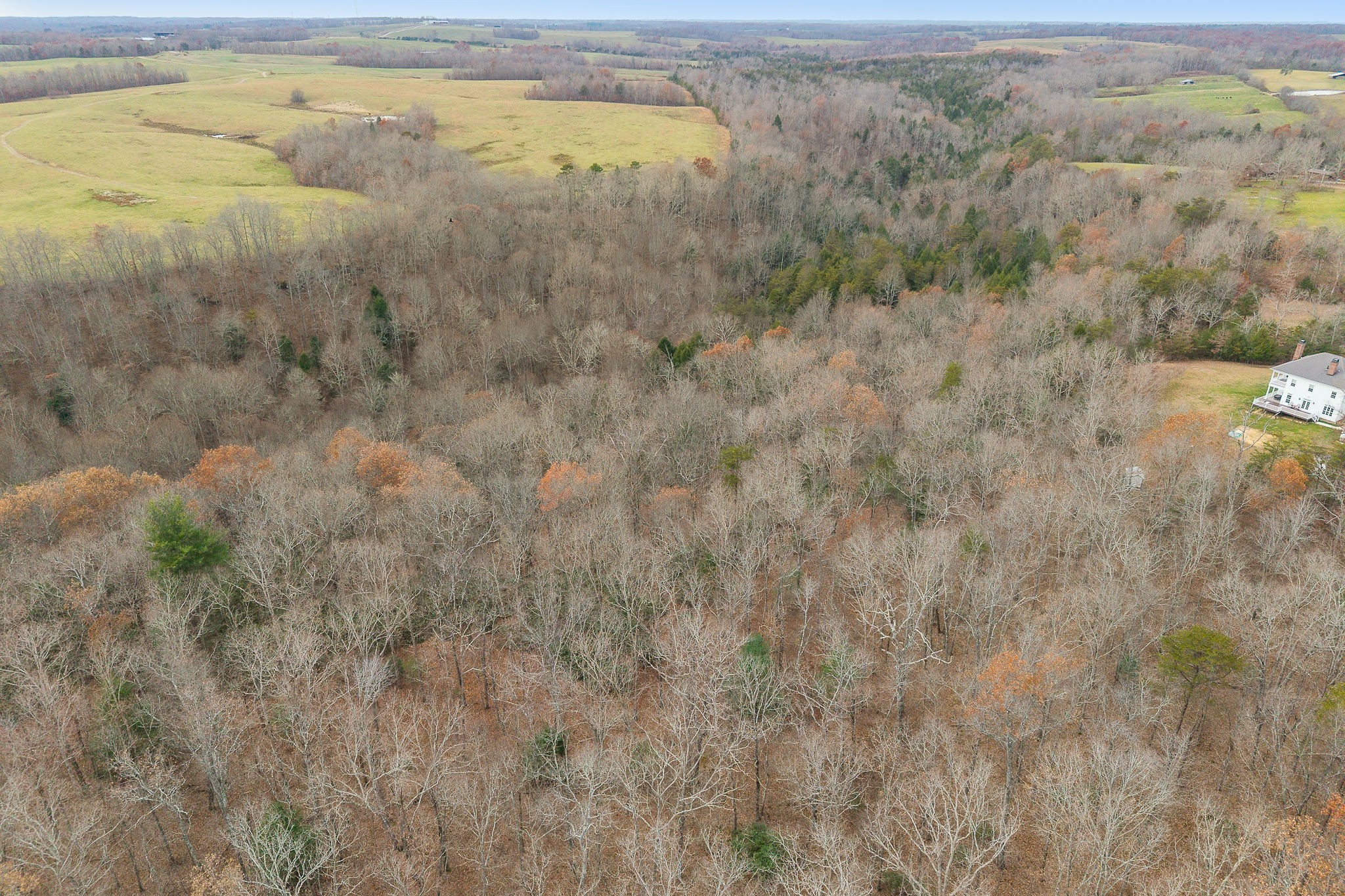 437 Wilson Road Crossville, TN 38571 - Photo 9 of 39 Gallery Image 9