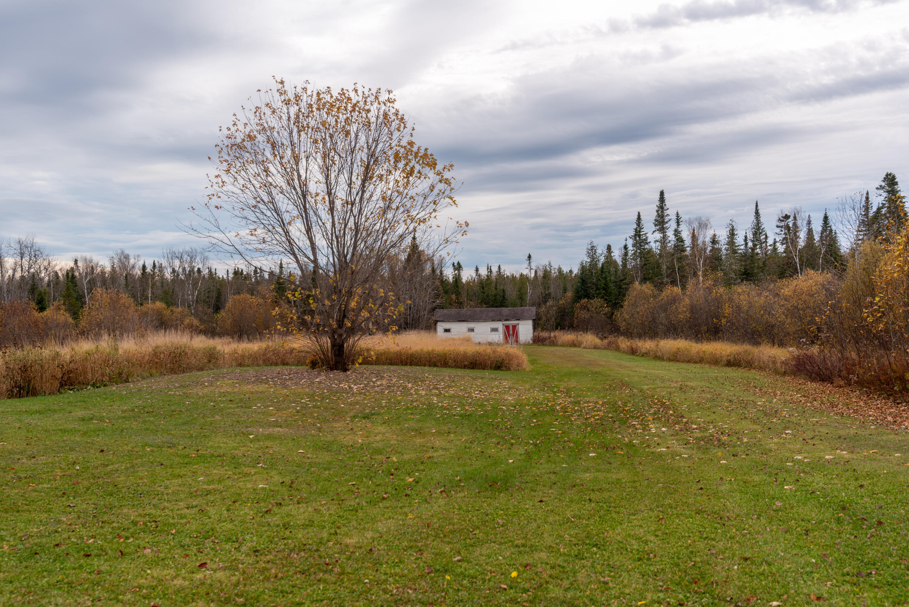 2325 Caribou Road Sinclair, ME 04779 - Photo 9 of 36 DSC_3806