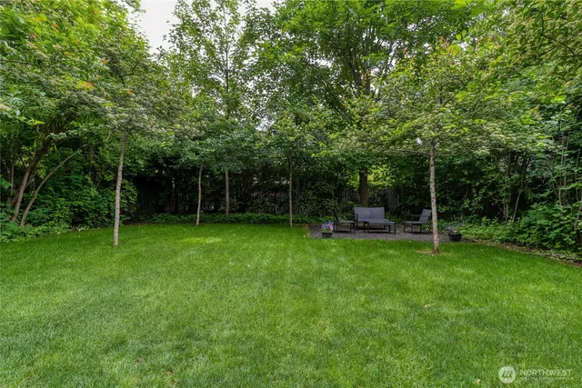 a view of a bench in the garden