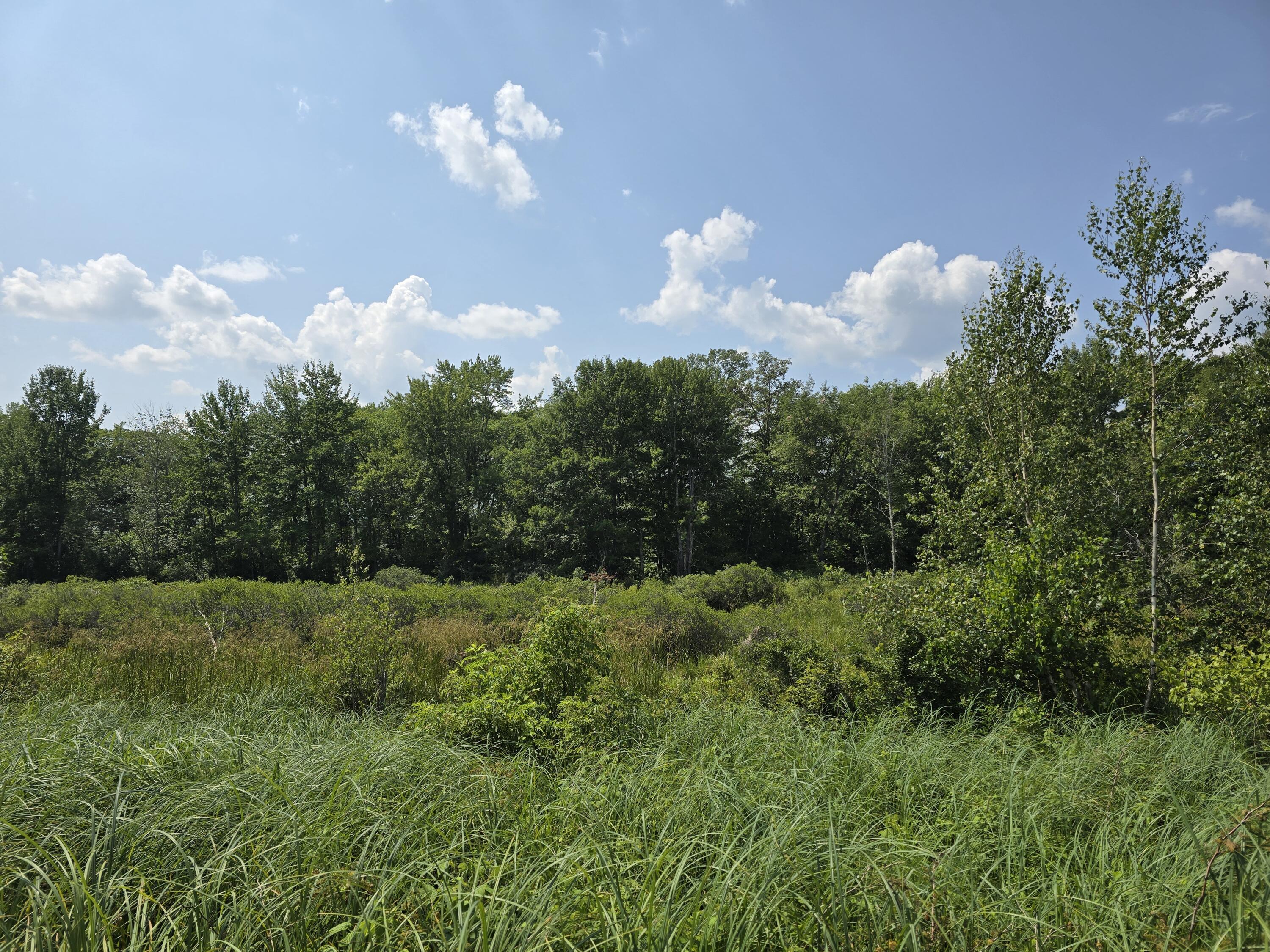 2 Passadumkeag Me 04475 Passadumkeag, ME 04475 - Photo 2 of 4 20240802_133707