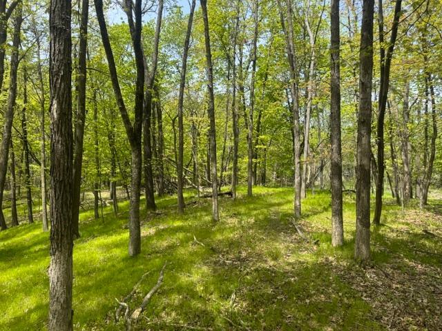 Tbd Maple View Court Excelsior, MN 55331 - Photo 3 of 5
