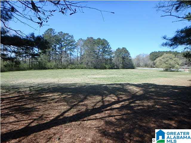 1680 Oldfield Road Sylacauga, AL 35150 - Photo 3 of 5