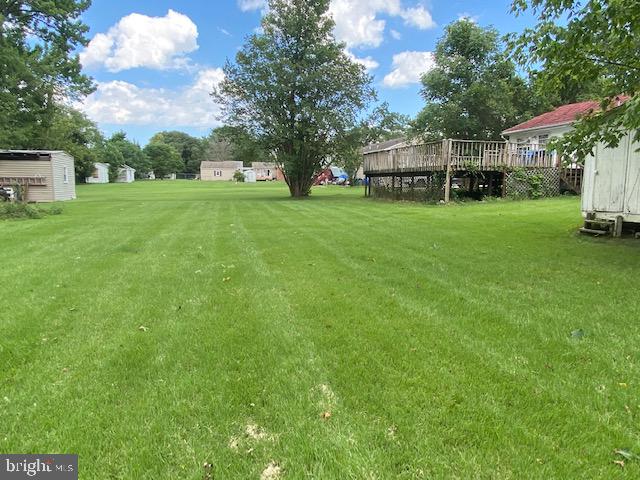 Back yard
