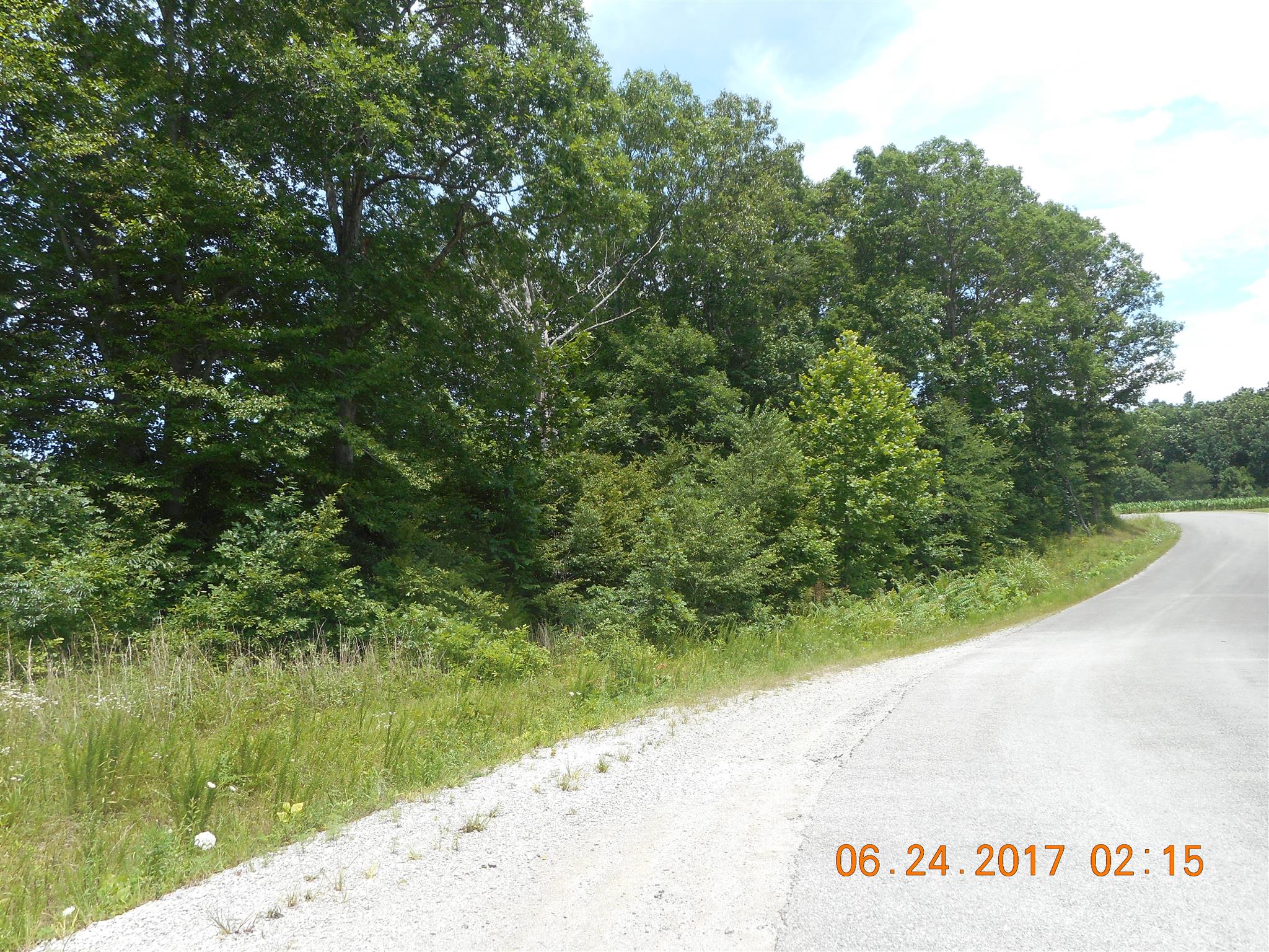 0 Slaughter Road Primm Springs, TN 38476 - Photo 1 of 3