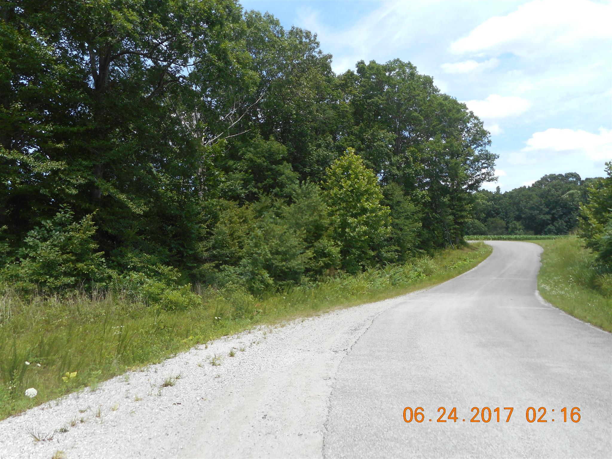 0 Slaughter Road Primm Springs, TN 38476 - Photo 2 of 3