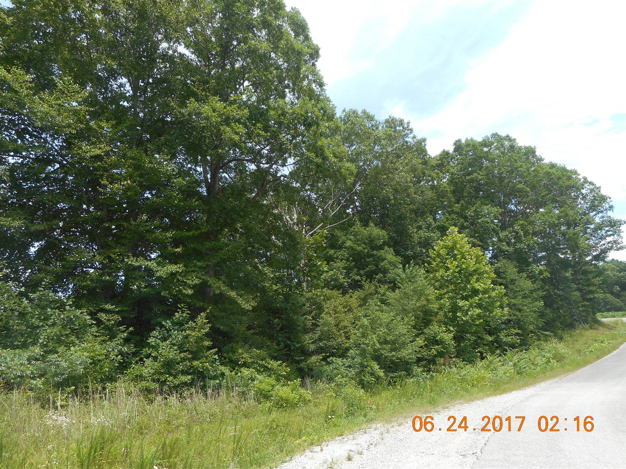 0 Slaughter Road Primm Springs, TN 38476 - Photo 3 of 3