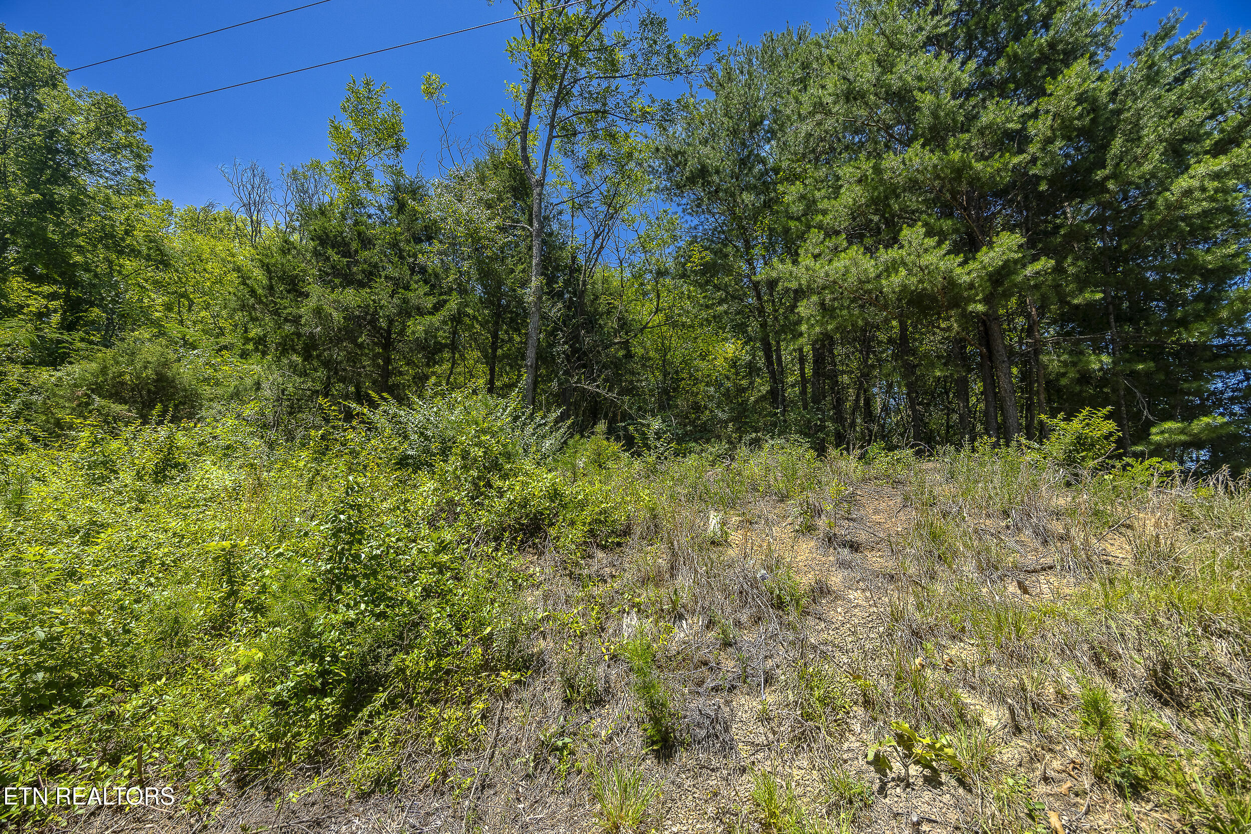 Raejon Way Sevierville, TN 37862 - Photo 8 of 39 006A7366-HDR
