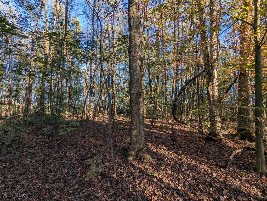 Forbes Road Wellsville, OH 43968 - Photo 29 of 39 Gallery Image 29