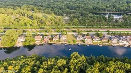 a view of a yard with plants and large trees