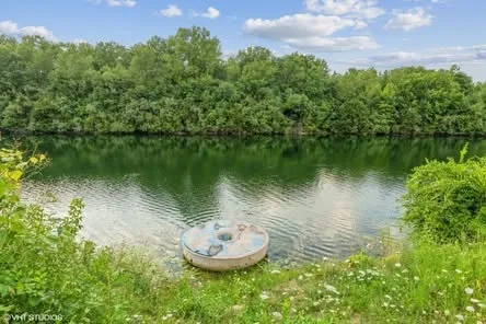 a view of a backyard with plants and a garden