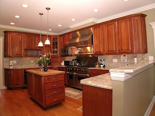 6055 Garfield Avenue Burr Ridge, IL 60527 - Photo 4 of 11