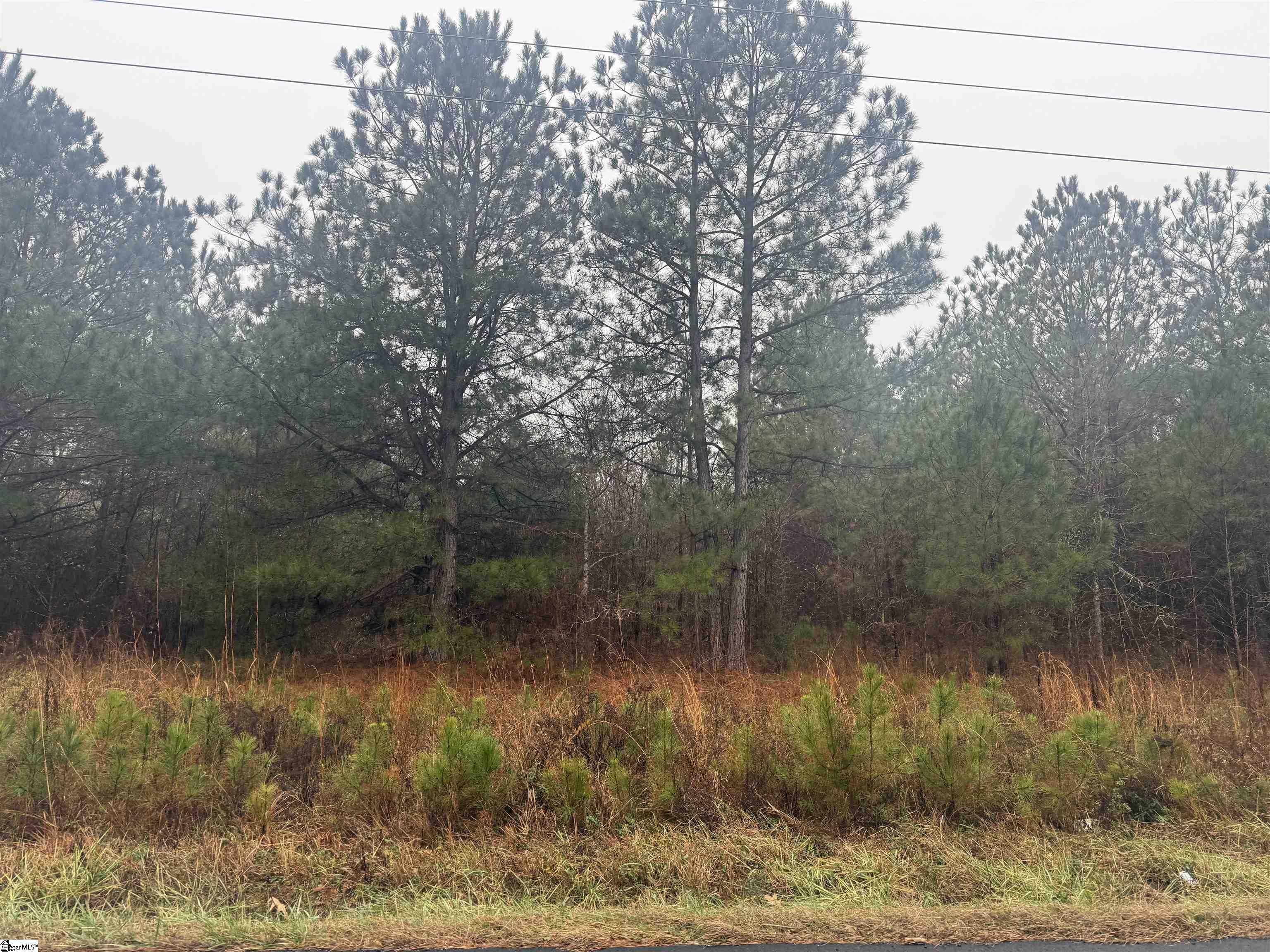 0 Riverfork Road Waterloo, SC 29384 - Photo 2 of 2