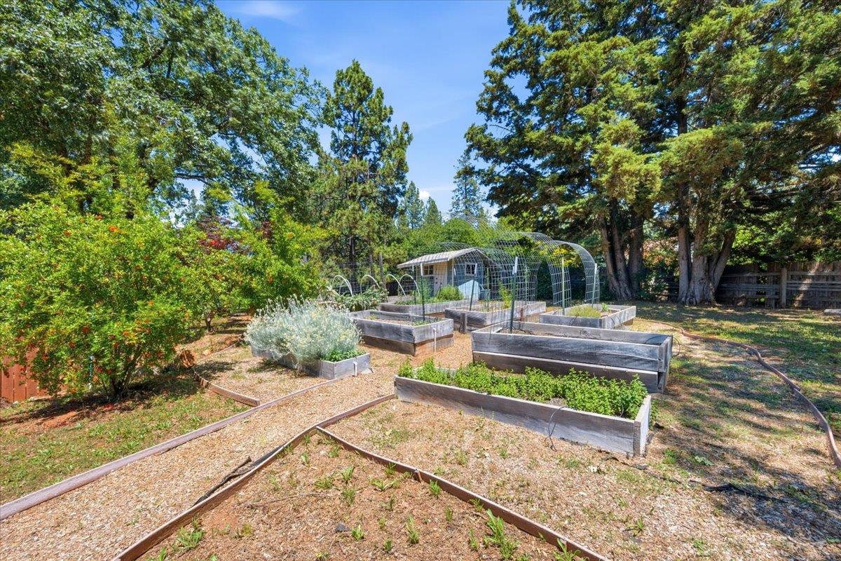10704 Round Valley Road Grass Valley, CA 95949 - Photo 43 of 56