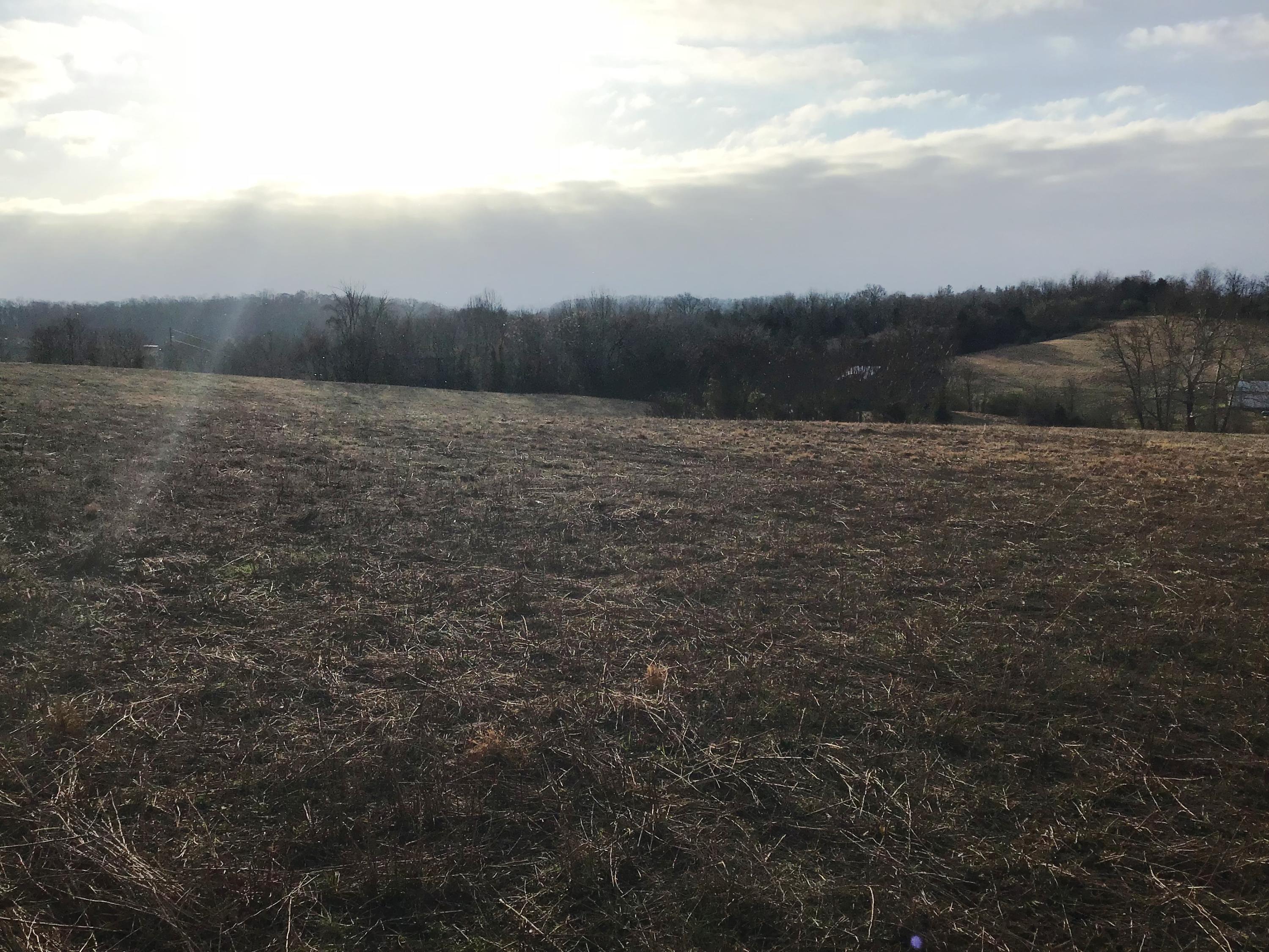 Lot 1 Milburnton Road, Unit 1 Limestone, TN 37681 - Photo 14 of 16 Milburnton Farm