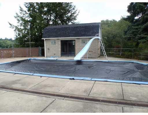 414 North 9th Street Apollo, PA 15613 - Photo 11 of 15 Swimming Pool/Hot Tub/Sauna.