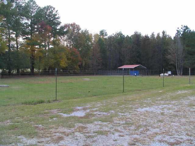 6015 Applewhite Road Wendell, NC 27591 - Photo 10 of 10 Back Pasture