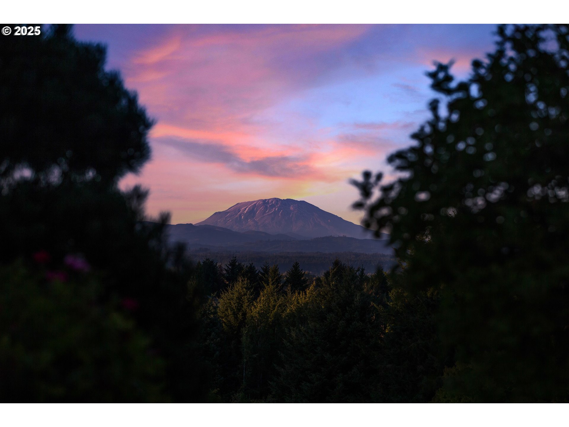 21121 Northwest 17th Court Ridgefield, WA 98642 - Photo 47 of 48 a view of an outdoor space and mountain view