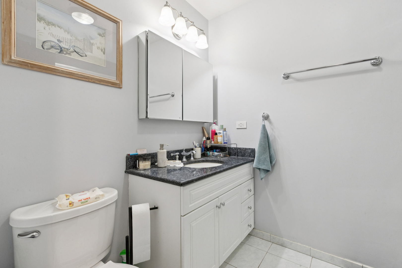 3234 South Princeton Avenue Chicago, IL 60616 - Photo 16 of 56 a bathroom with a granite countertop sink a toilet and a mirror