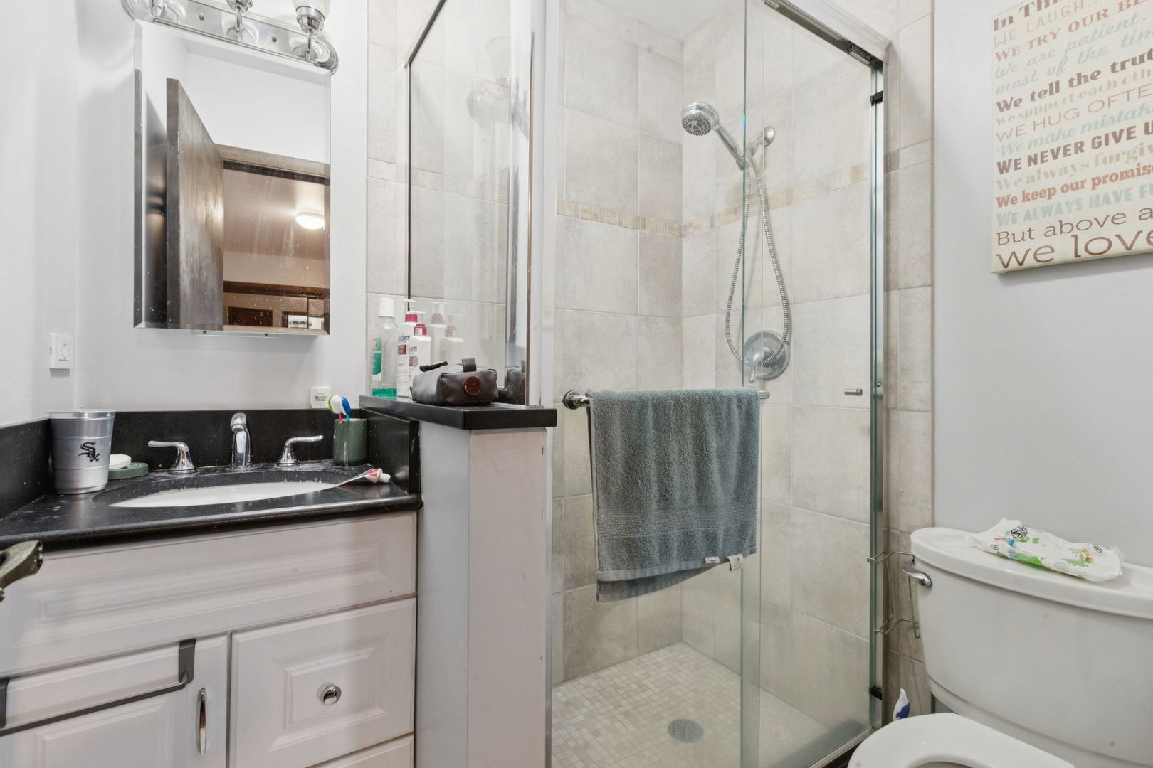 3234 South Princeton Avenue Chicago, IL 60616 - Photo 20 of 56 a bathroom with a granite countertop sink toilet and shower