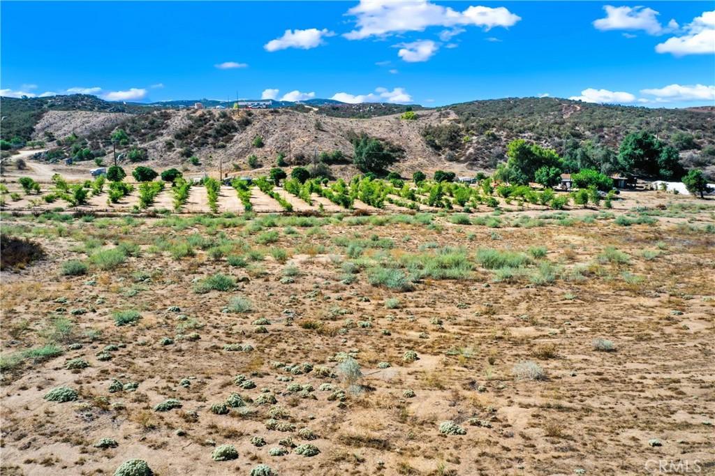 39145 Cordova Temecula, CA 92592 - Photo 22 of 25 a view of a yard with mountains in the background
