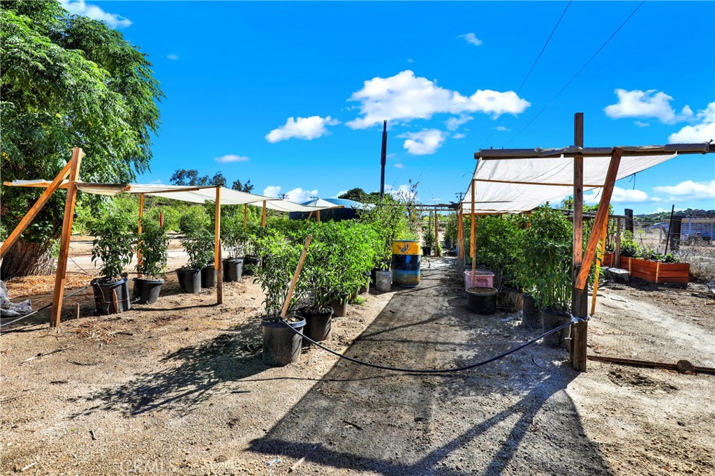 39145 Cordova Temecula, CA 92592 - Photo 25 of 25 a view of a backyard with plants and patio