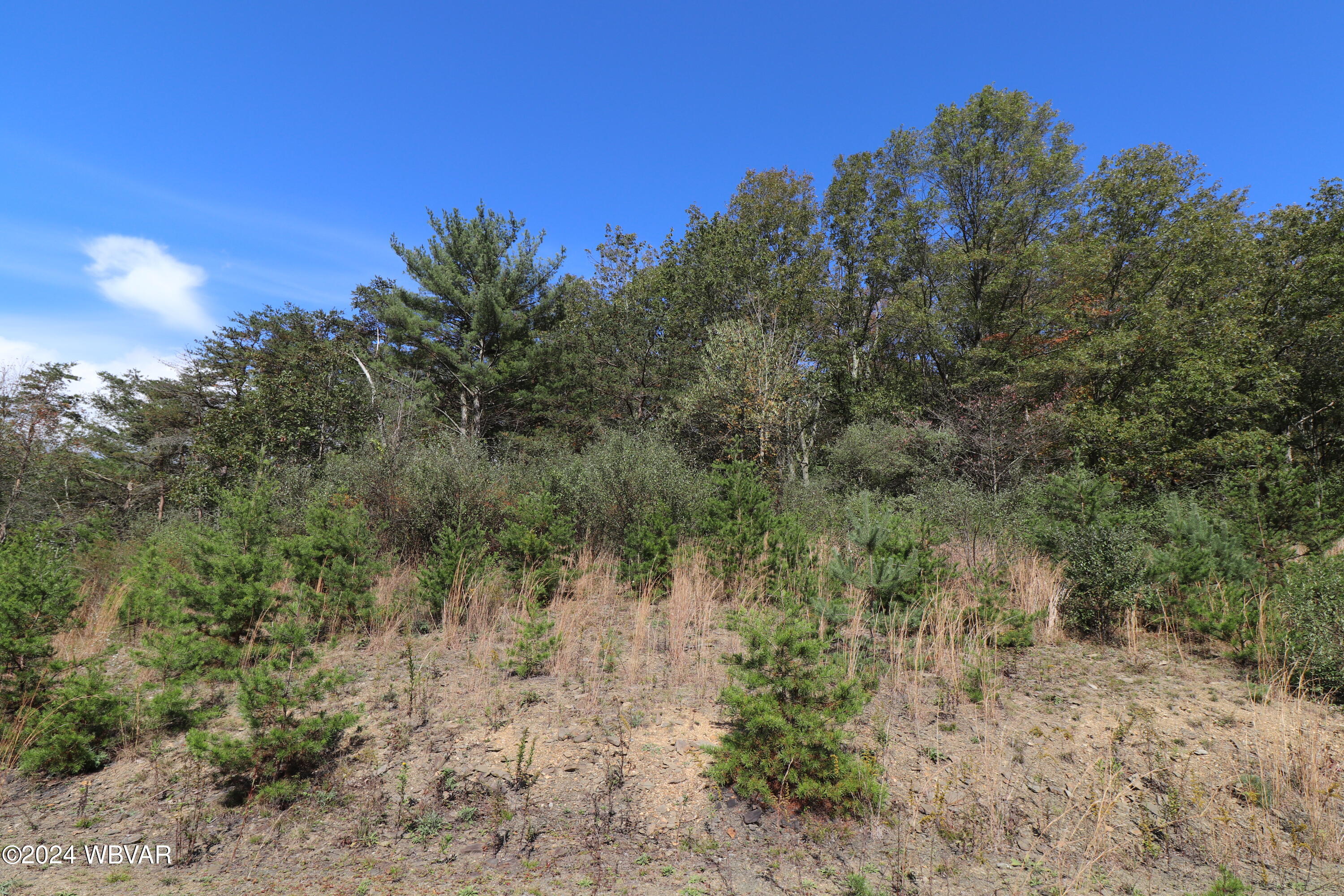 76 Wistar Road Hughesville, PA 17737 - Photo 6 of 7 IMG_2521