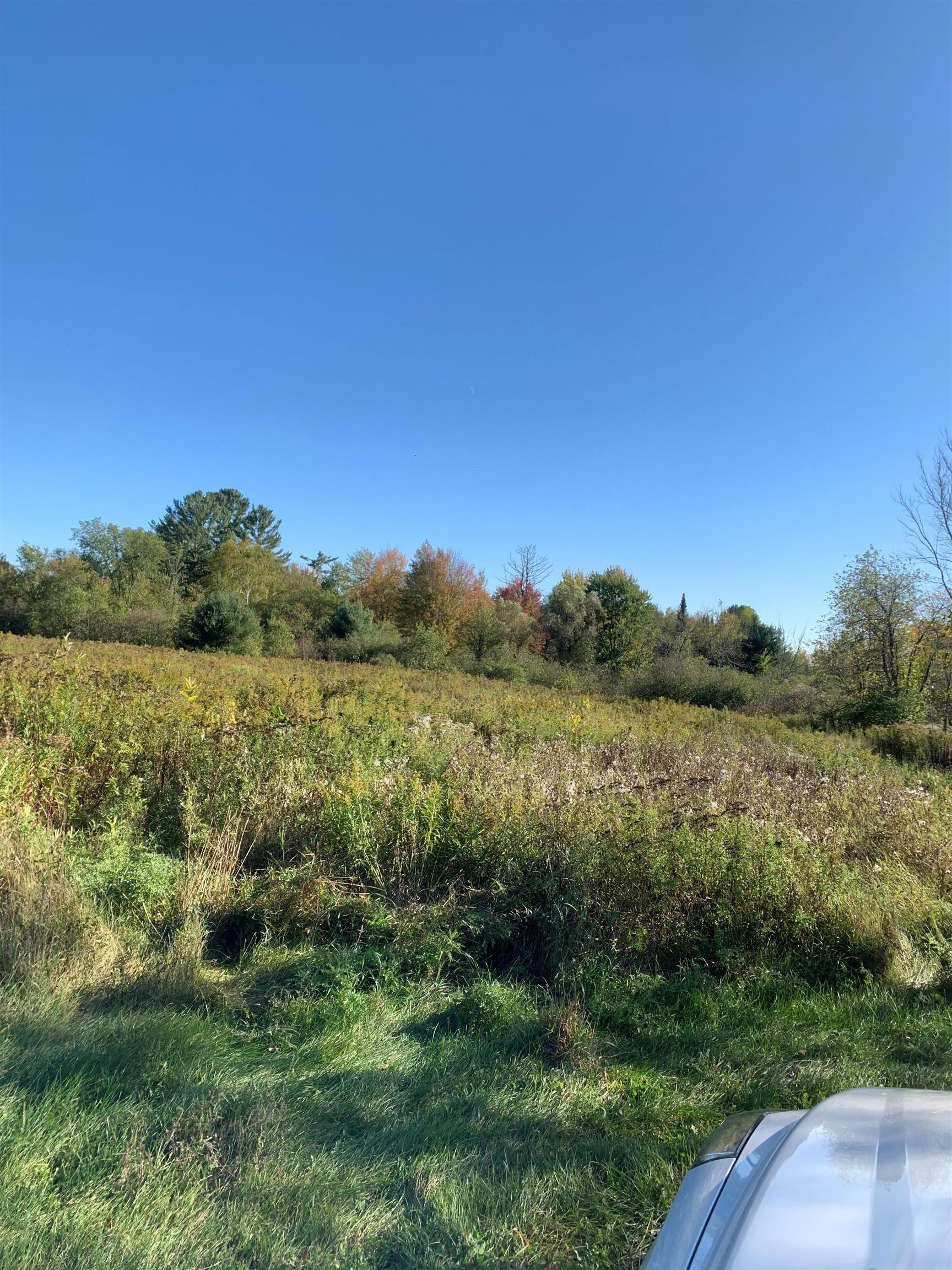 48.6-acres County Road West Merrill, WI 54452 - Photo 8 of 17