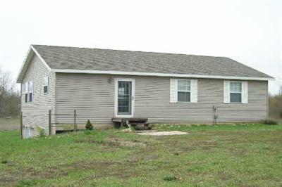 317 South Irving Road Hastings, MI 49058 - Photo 1 of 7 Primary Photo