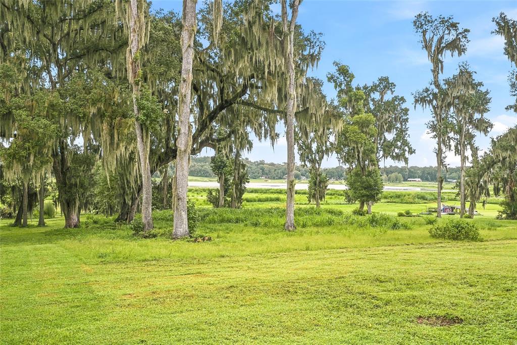 18350 Hancock Bluff Road Dade City, FL 33523 - Photo 59 of 83 Gallery Image 59