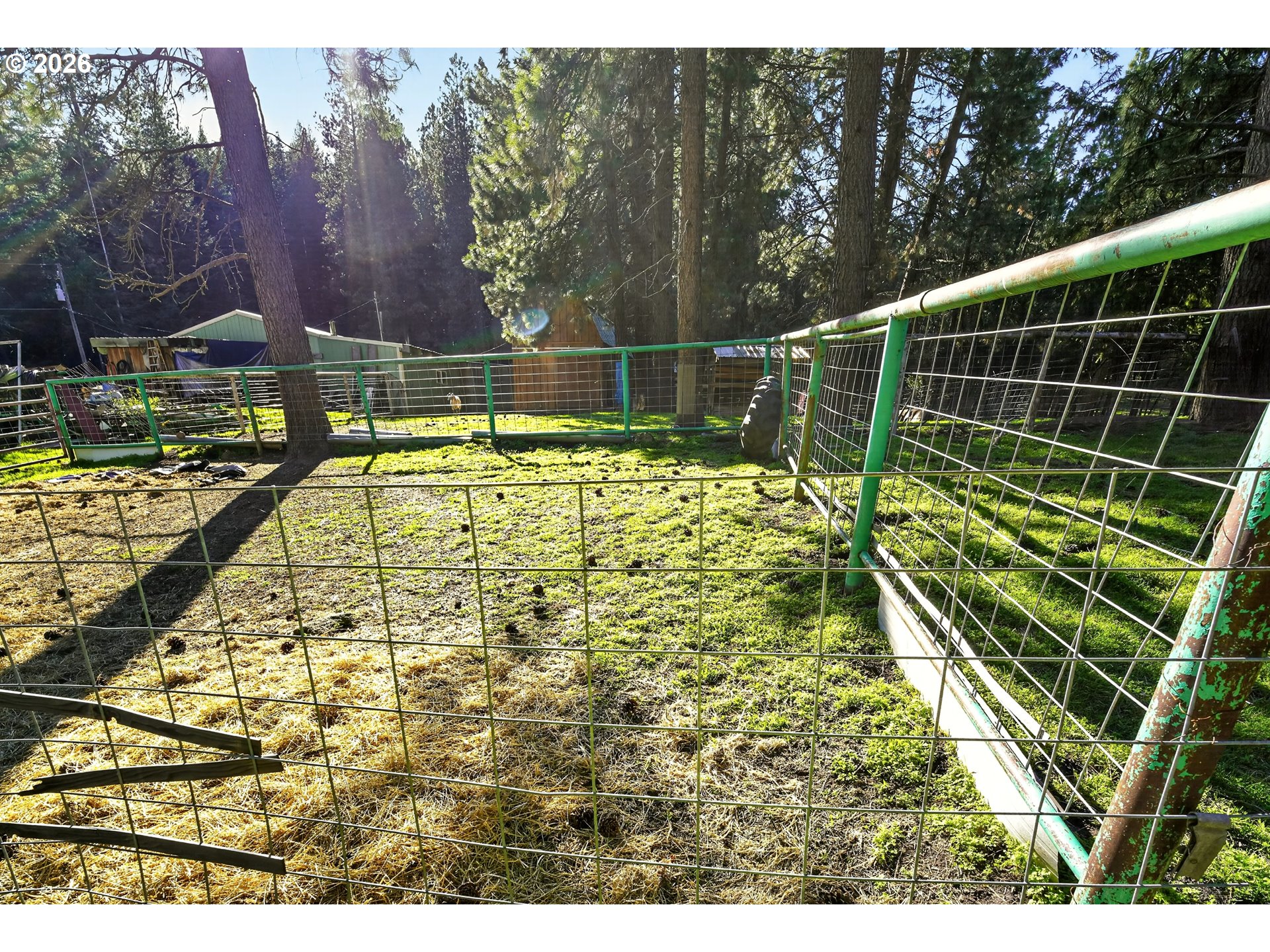 69634 Hallgarth Road Summerville, OR 97876 - Photo 26 of 33