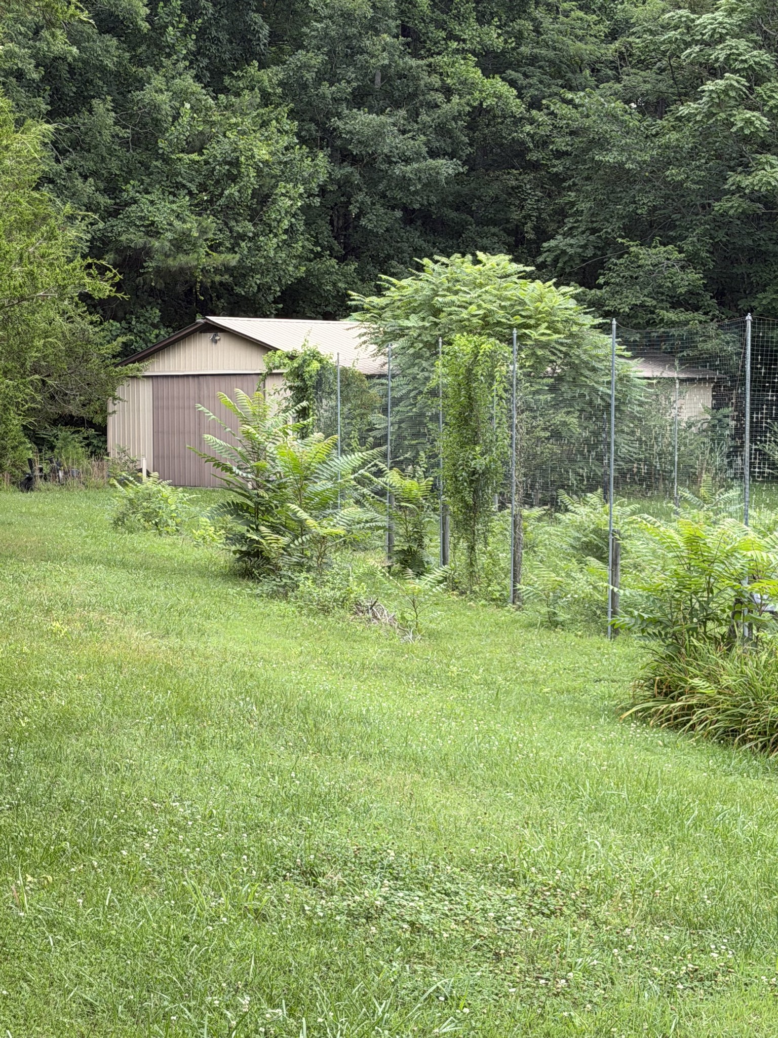 259 Locke Bend Road McMinnville, TN 37110 - Photo 5 of 10