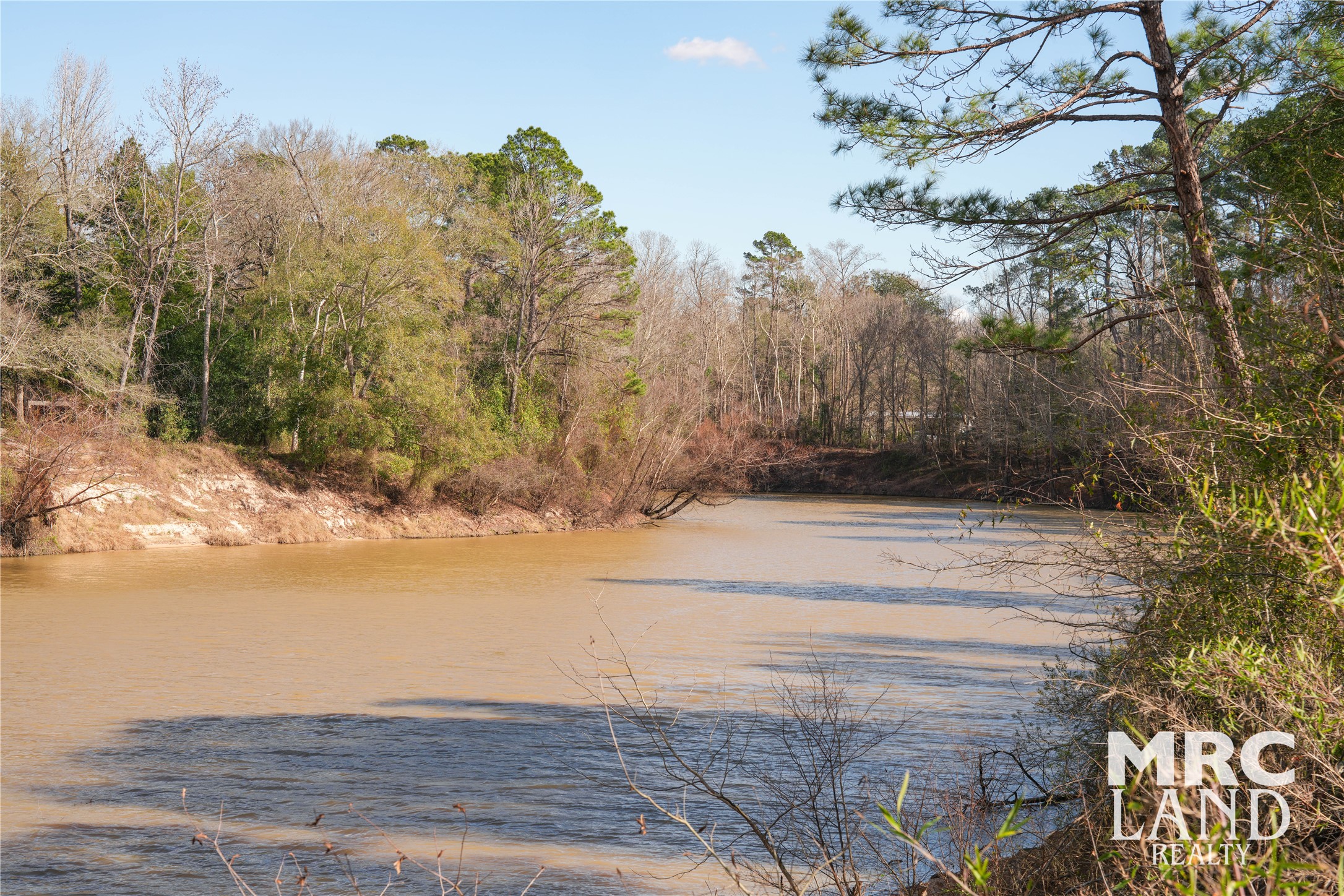 0 Sam Rayburn Parkway Colmesneil, TX 75938 - Photo 1 of 34