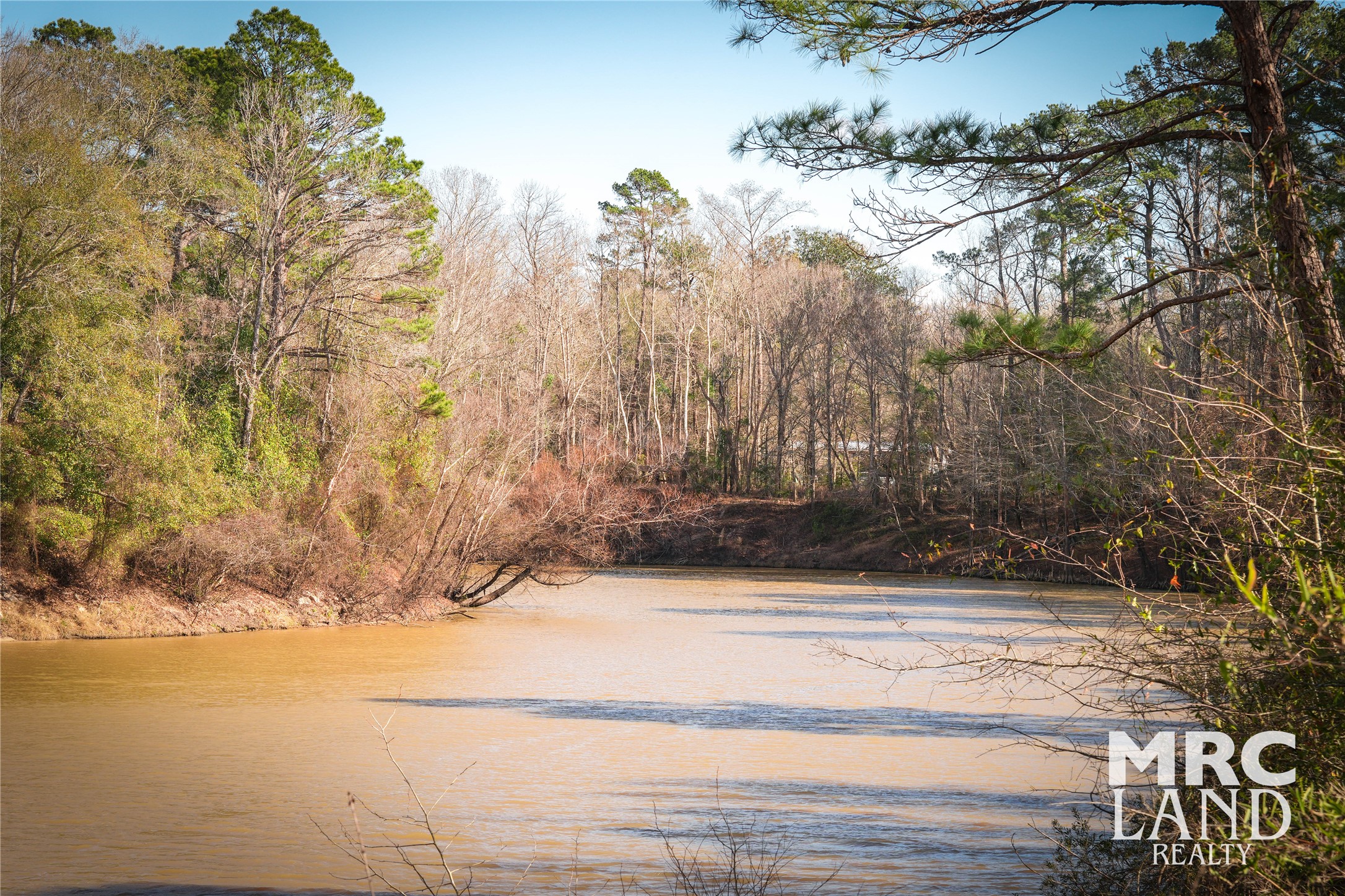 0 Sam Rayburn Parkway Colmesneil, TX 75938 - Photo 12 of 34