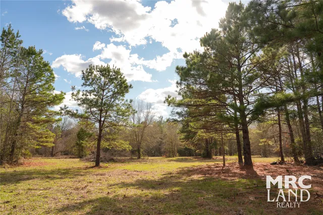 a view of a yard of the house