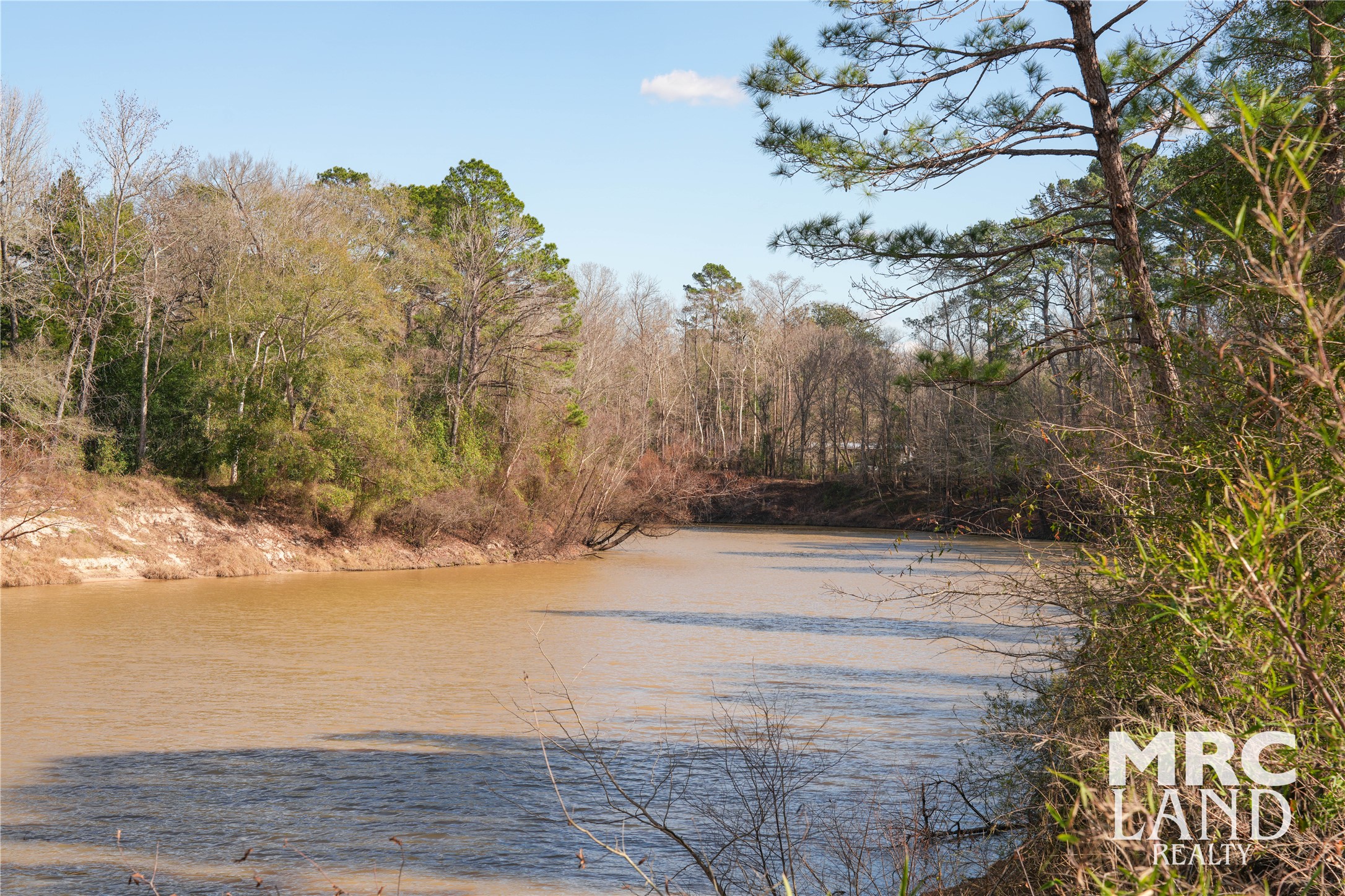 0 Sam Rayburn Parkway Colmesneil, TX 75938 - Photo 22 of 34
