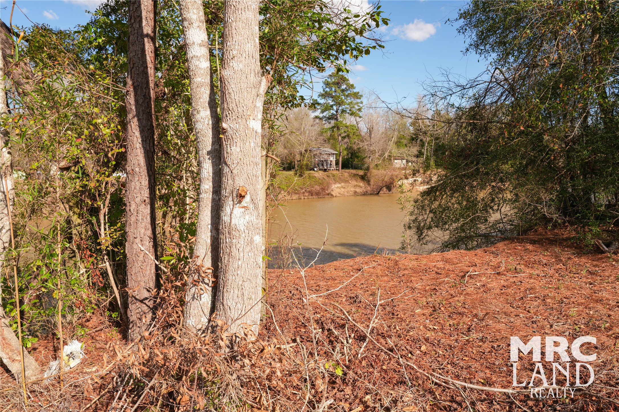 0 Sam Rayburn Parkway Colmesneil, TX 75938 - Photo 24 of 34