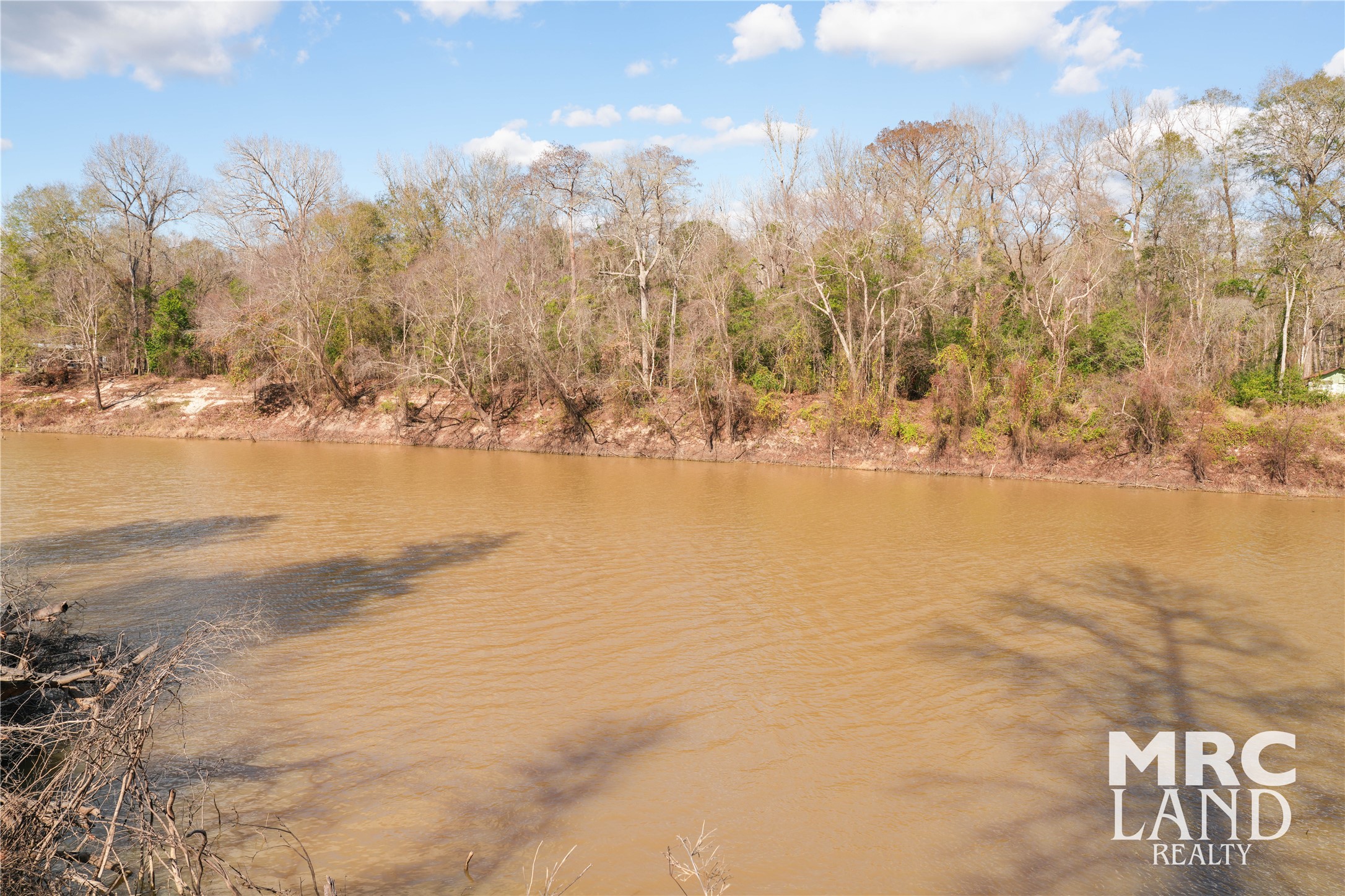 0 Sam Rayburn Parkway Colmesneil, TX 75938 - Photo 27 of 34