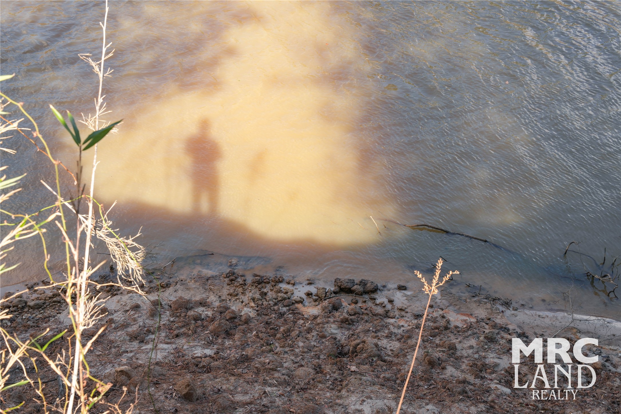 0 Sam Rayburn Parkway Colmesneil, TX 75938 - Photo 28 of 34