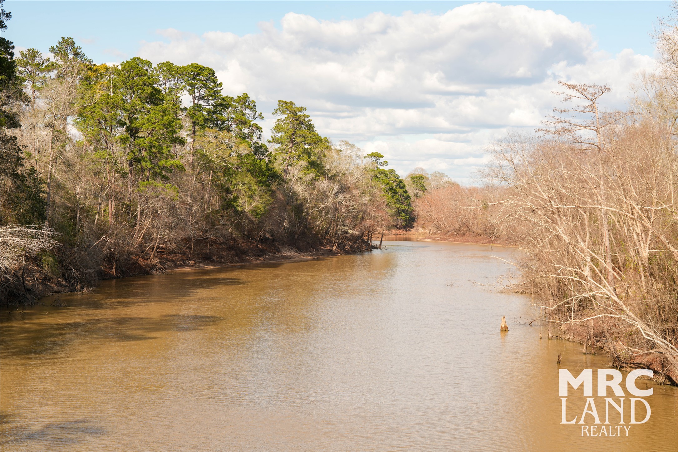0 Sam Rayburn Parkway Colmesneil, TX 75938 - Photo 30 of 34