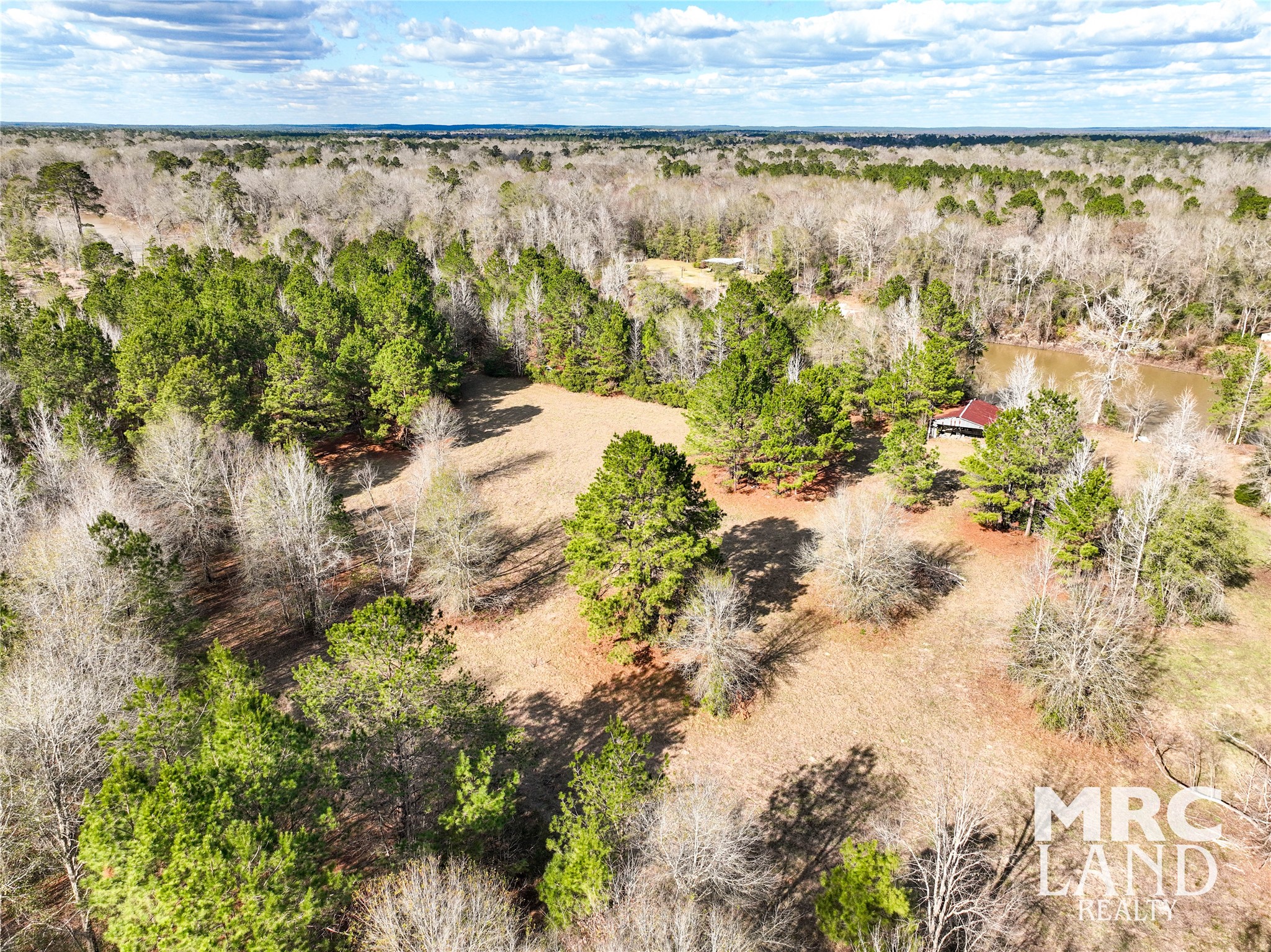 0 Sam Rayburn Parkway Colmesneil, TX 75938 - Photo 3 of 34