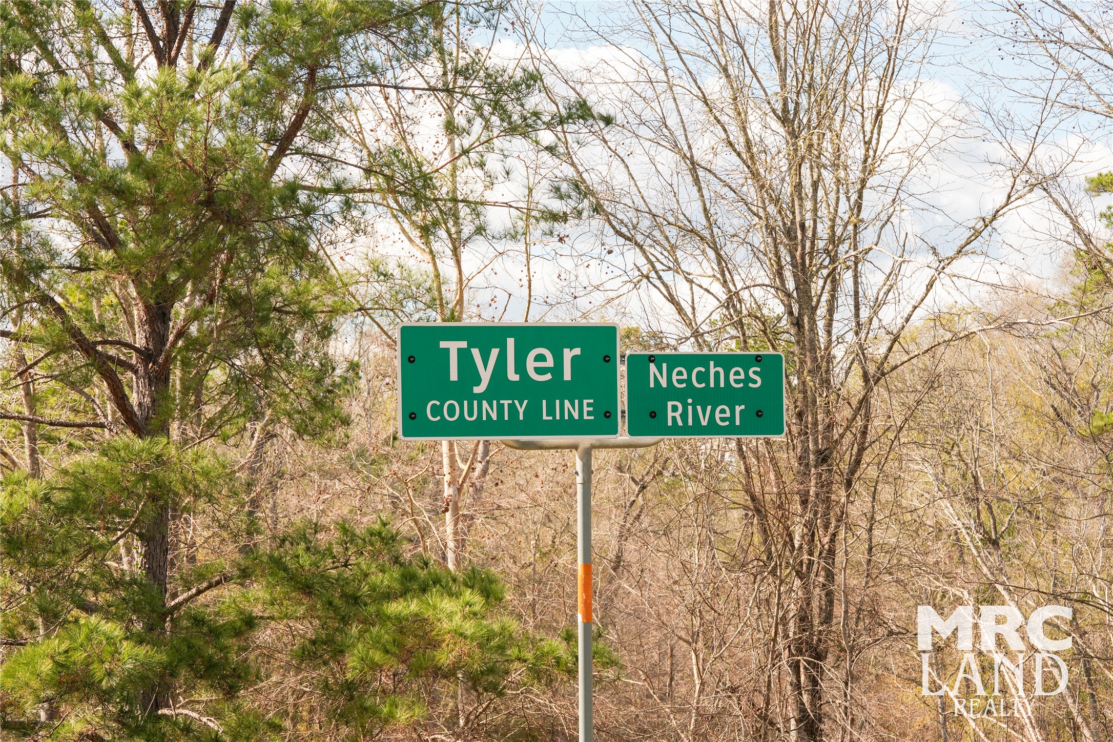 0 Sam Rayburn Parkway Colmesneil, TX 75938 - Photo 31 of 34