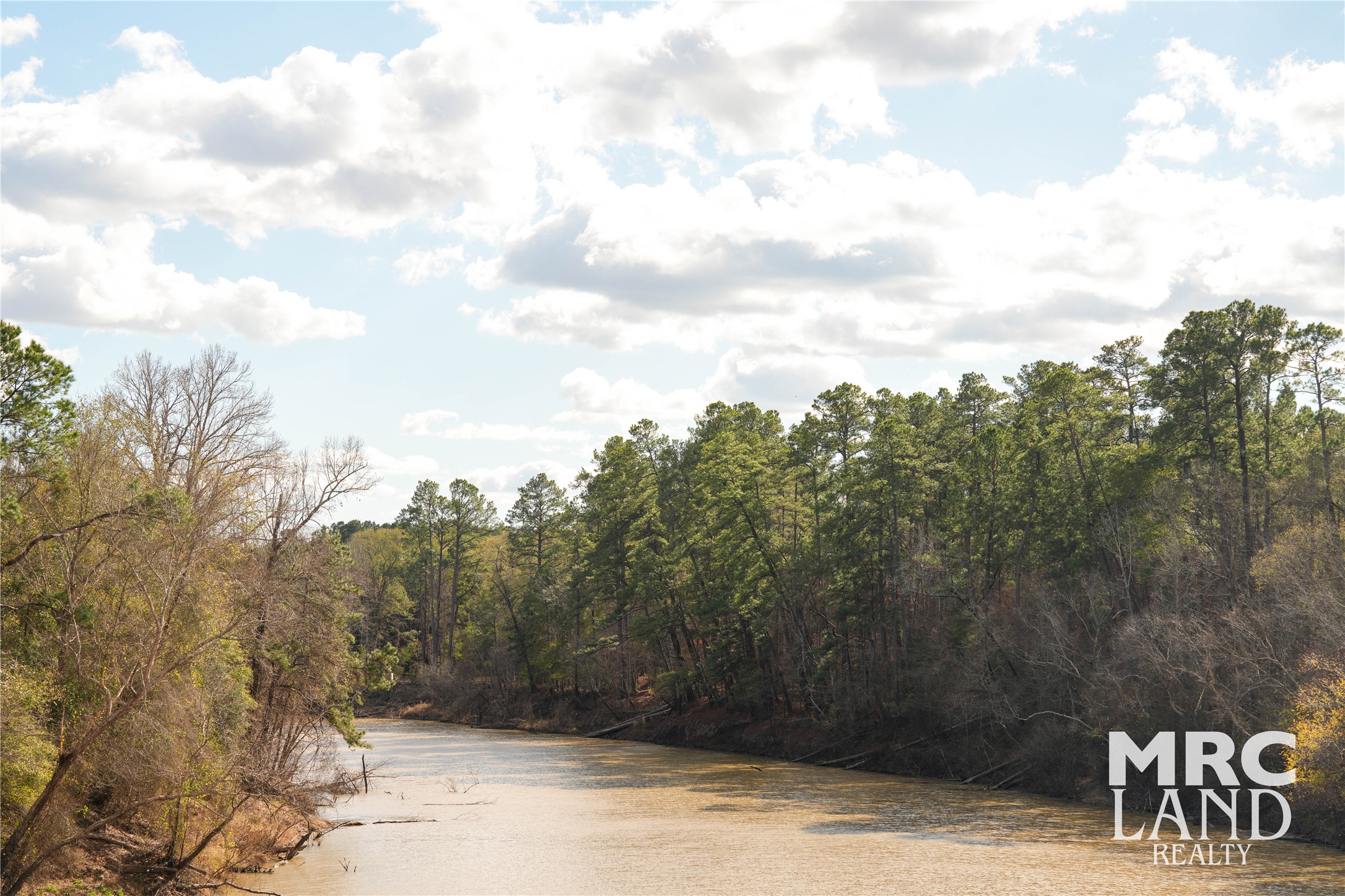 0 Sam Rayburn Parkway Colmesneil, TX 75938 - Photo 32 of 34