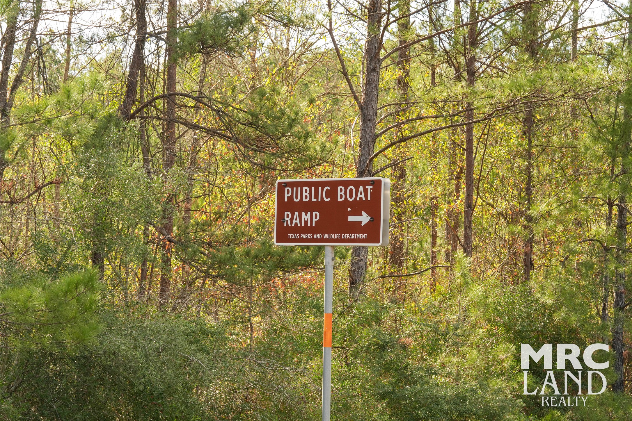 0 Sam Rayburn Parkway Colmesneil, TX 75938 - Photo 33 of 34