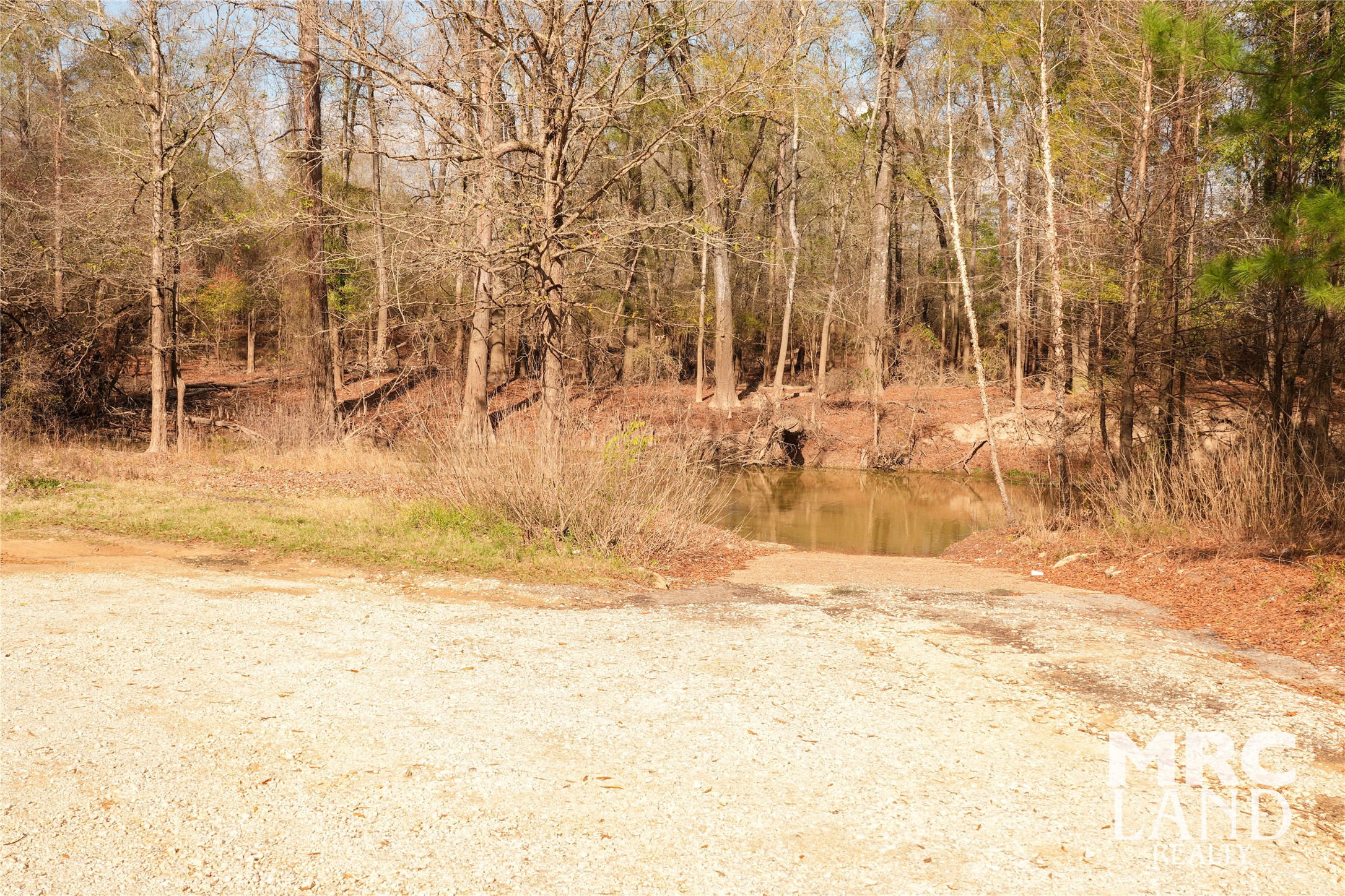 0 Sam Rayburn Parkway Colmesneil, TX 75938 - Photo 34 of 34