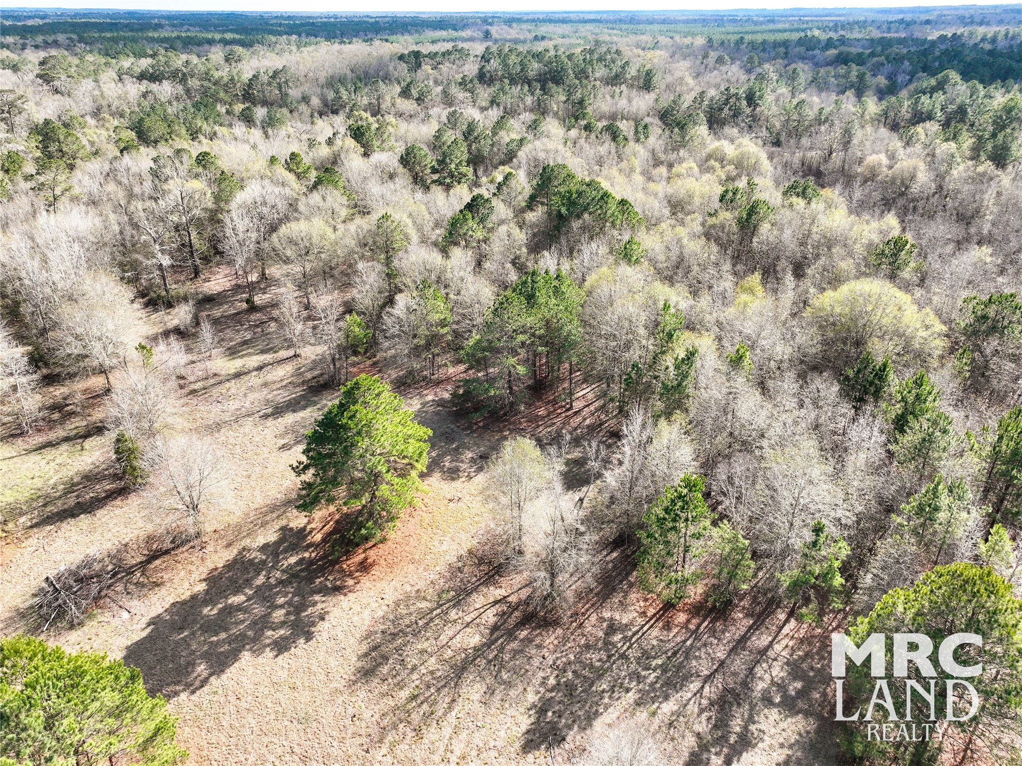 0 Sam Rayburn Parkway Colmesneil, TX 75938 - Photo 10 of 34