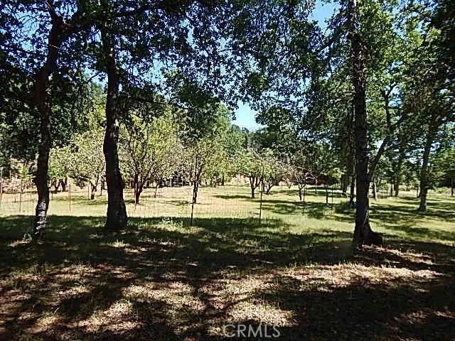 a big yard with trees