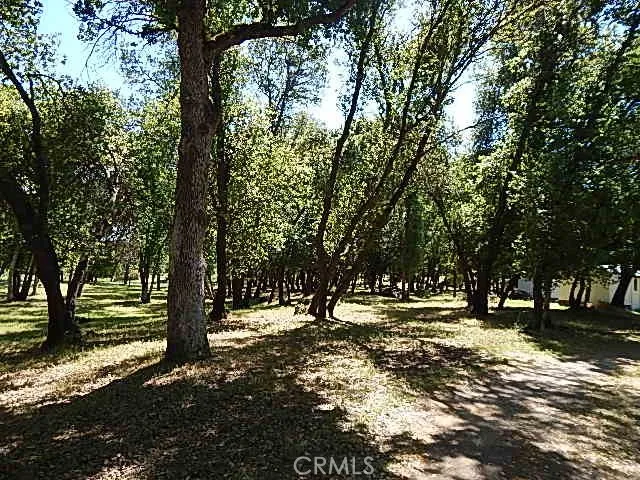 a view of outdoor space with trees