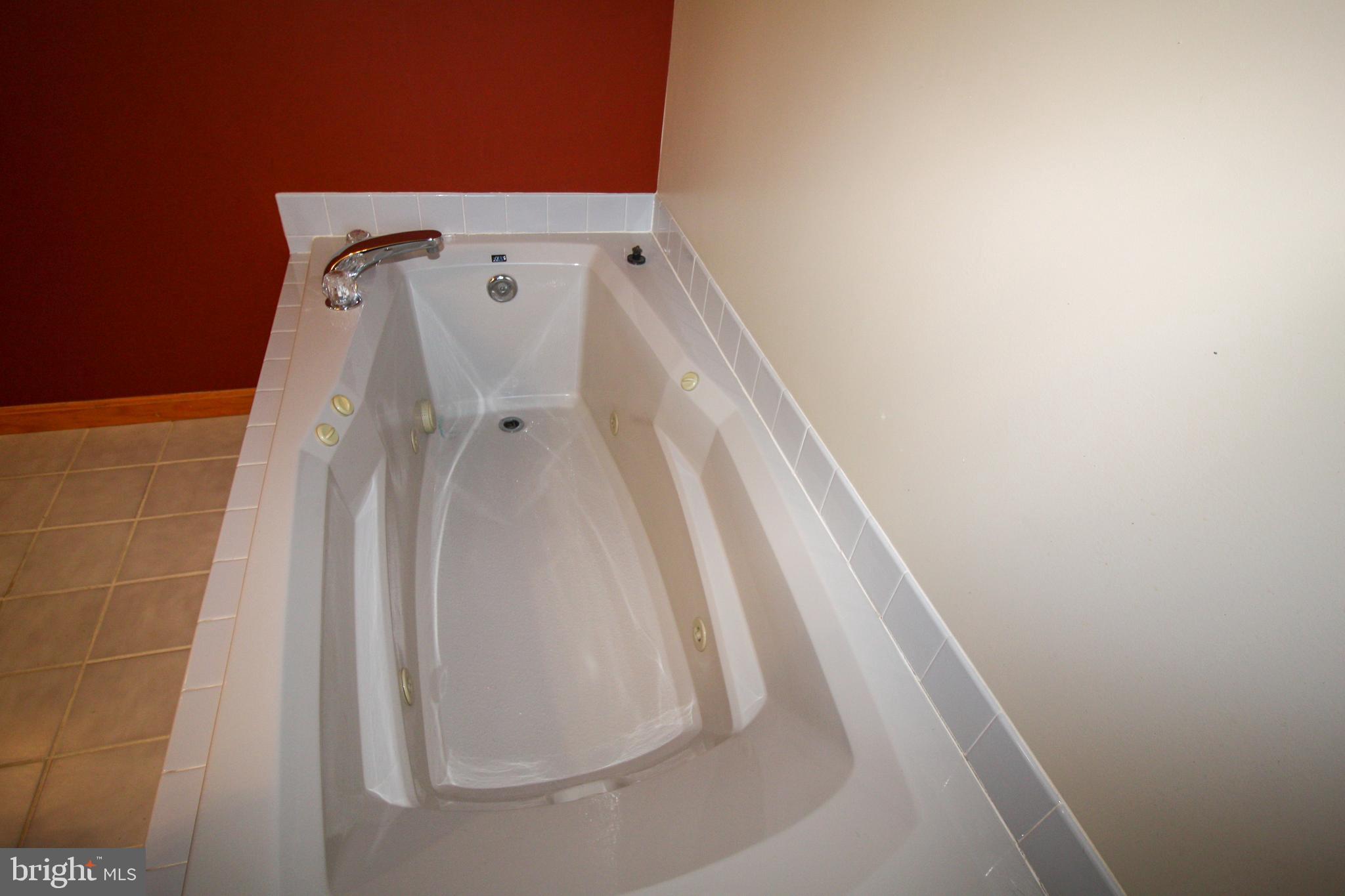 28533 Cave Neck Road Milton, DE 19968 - Photo 20 of 32 Owner's Suite Jacuzzi tub