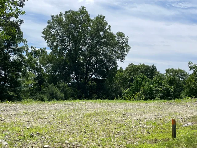 a view of a garden with a bench
